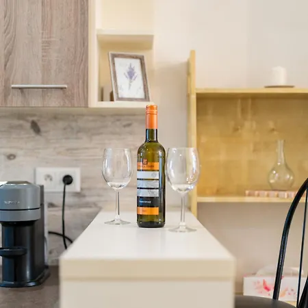 Charming Flat, Steps From Castle - Free Parking Pozsony